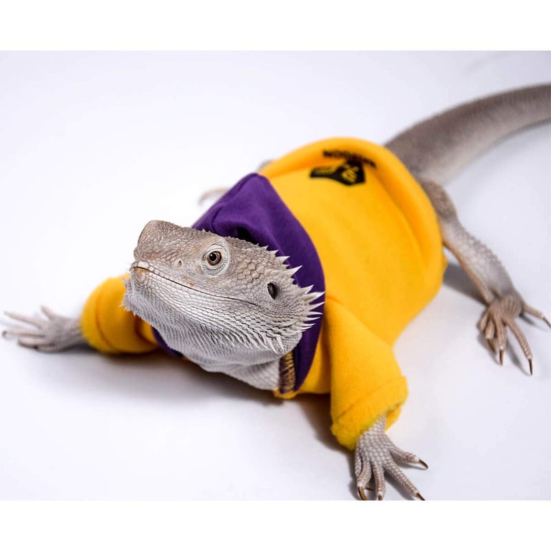 WATFOON Lizard Clothes Bearded Dragon Sweater Winter Hoodies Warm Coat Soft Touching for Leopard Reptile Gecko Anole Amphibians Apparel Cold Weather (M, Purple/Yellow) - Image 4